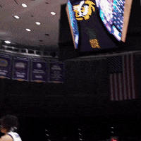 March Madness Basketball GIF by LSU Tigers