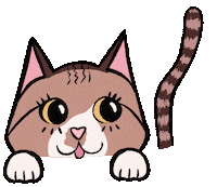Cat Coffee Sticker