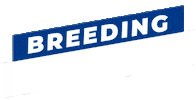 Breeding Horse Racing Sticker by al shahania stud