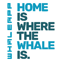 Home Play Sticker by Whaleapp Ltd