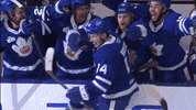 Celebration Hockey GIF by Toronto Marlies