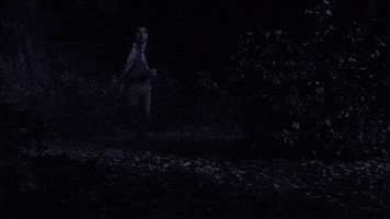 fox tv GIF by Ghosted