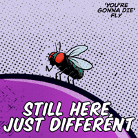 Youre Gonna Die Still Here GIF by VeeFriends