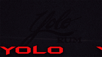 Celebrate Independence Day GIF by Yolo Rum