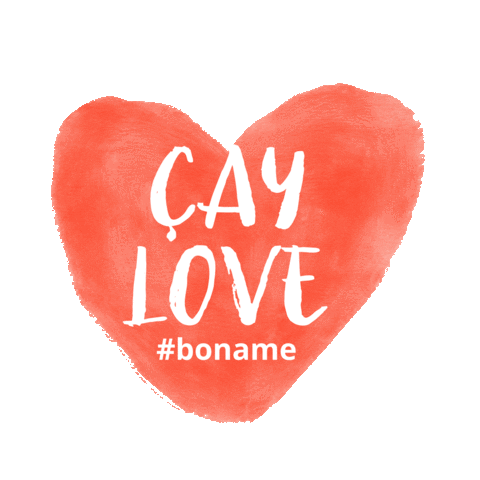 boname giphyupload hannover hamburg koln Sticker