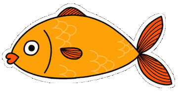 Water Orange Sticker by Raf Sinopoli