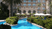 GIF by Visit Dubai