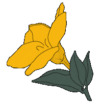 bydaisydalia flower floral deco flora Sticker