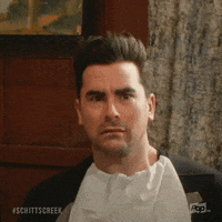 Pop Tv Wow GIF by Schitt's Creek