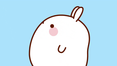 bunny rabbit GIF by Molang.Official