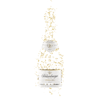 SchlumbergerSekt celebration cheers new year happy new year Sticker