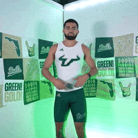 South Florida Horns Up GIF by USF Athletics