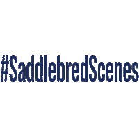 AmericanSaddlebred saddlebred ashba american saddlebred wchs Sticker