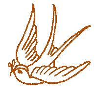 Sao Joao Bird Sticker by Math