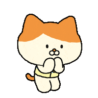 Cat Fun Sticker by LINE FRIENDS