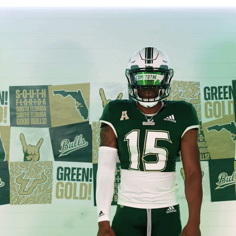 Ncaa Football GIF by USF Athletics