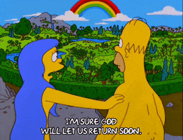 homer simpson GIF
