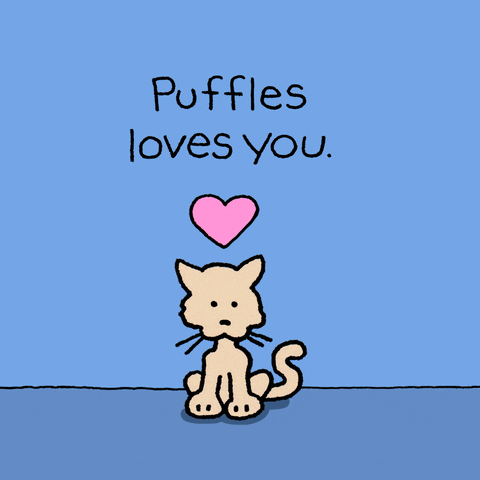 I Love You Cats GIF by Chippy the Dog