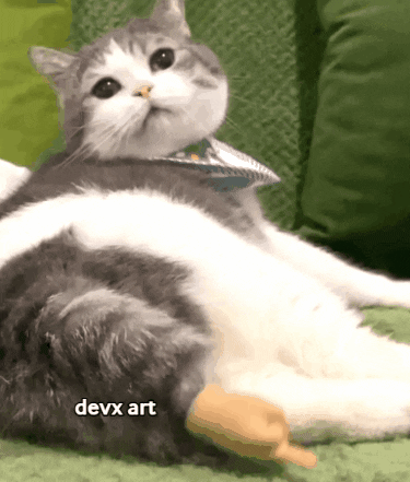 Cat Middle Finger GIF by DevX Art