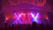 Festival Du Voyageur Winter GIF by Tourism Winnipeg