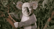 Koala 노무현 GIF