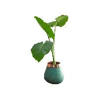 Plants Leaf Sticker by PlantDeco