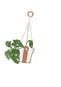 Whitejungle plants monstera suspension whitejungle Sticker