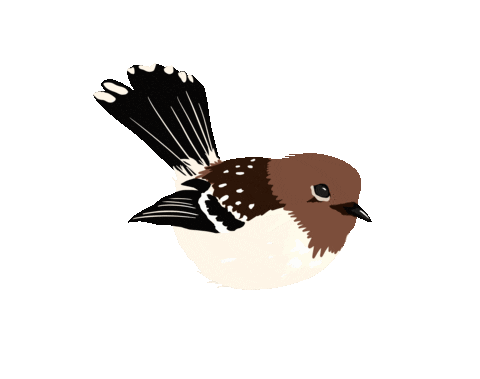 Hawaii Sticker