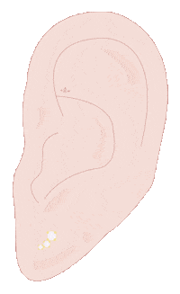 Sparkle Piercing Sticker by astridandmiyu