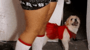 Stare Off Feliz Navidad GIF