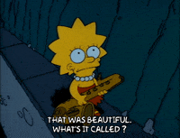 Season 1 Episode 6 GIF by The Simpsons