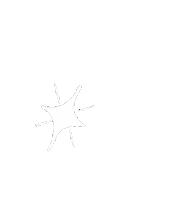 Kira Kira Sparkle Sticker