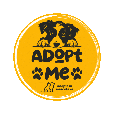adoptesumascota perro adopt adoption adopta Sticker