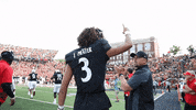 High Five Cincinnati Football GIF by Cincinnati Bearcats