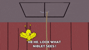 excited bird GIF by South Park 