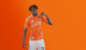 Season 20 Brooklyn GIF by Houston Dynamo FC