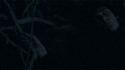 hbo GIF by Game of Thrones