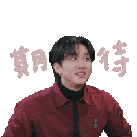 Stray Kids Skz Sticker