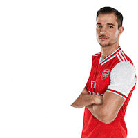 Empower Premier League Sticker
