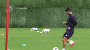 pase la liga GIF by Sevilla Fútbol Club