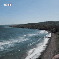 Summer Water GIF by TRT