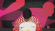 Posing Line Up GIF by Bundesliga