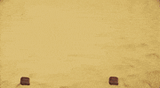 candyman GIF by Primus