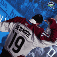 ice hockey sport GIF by NHL