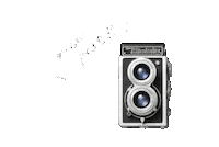 Photography Photo Sticker