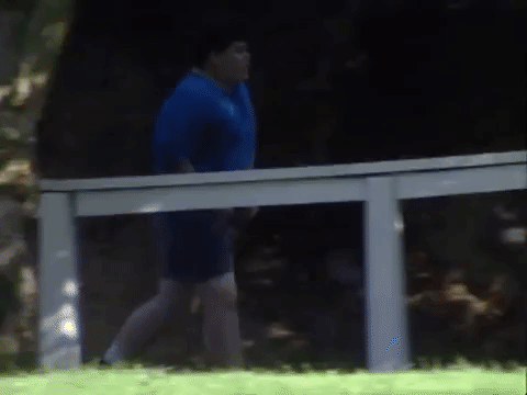salute your shorts nicksplat GIF