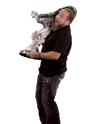 thenewautotoystore art money super cars Sticker