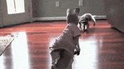 tada GIF