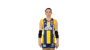 fbvoleybol volleyball fenerbahce fbvoleybol sarımelekler Sticker