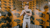 Baseball Bison GIF by NDSU Athletics